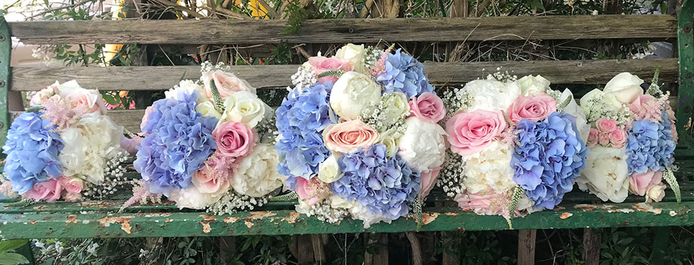 Blue hydrangeas, with pink and ivory roses, ivory peonies and Gysophila, 1 x brides bouquet and 4 x bridesmaids bouquets
