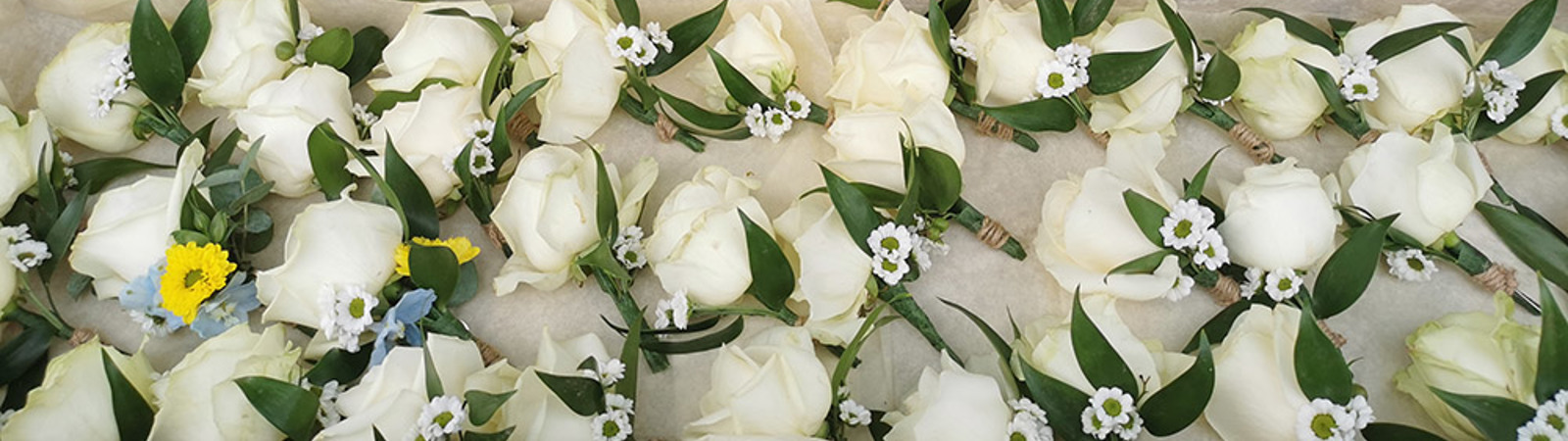 Corsages and buttonholes